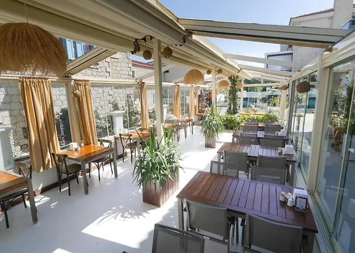 Отель Venezia *